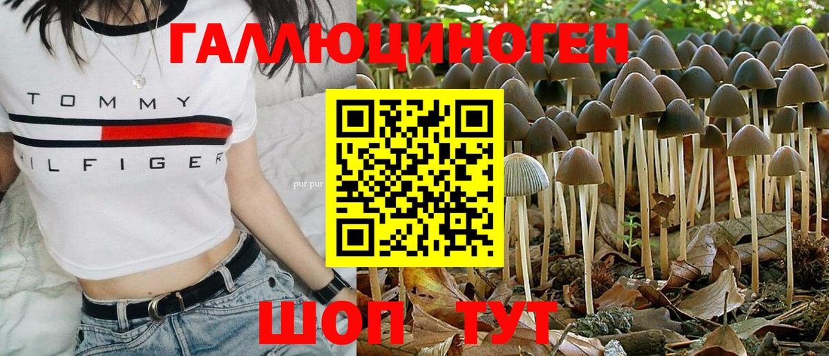 Галлюциногенные грибы Magic Shrooms Елизово