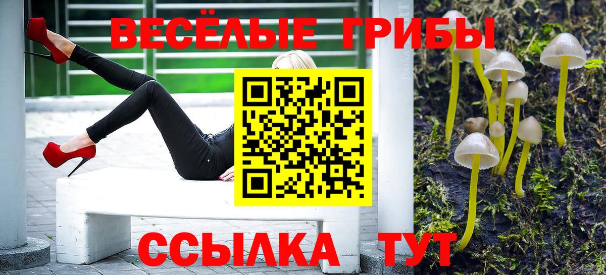 Псилоцибиновые грибы Magic Shrooms  Вход с VPN  Елизово 